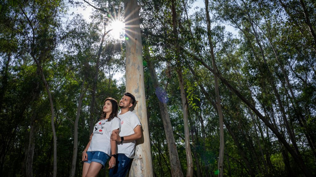 A couple poses in a beautiful forest during their pre-wedding shoot in Jaipur, with sunlight filtering through the trees.