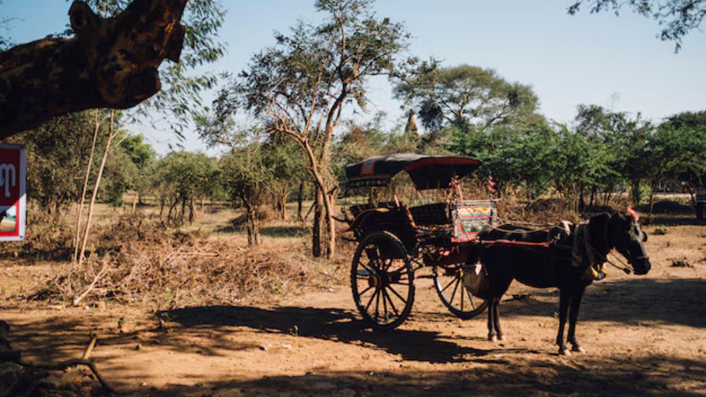 A traditional horse-drawn cart parked in a rural area of Jaipur, India, with trees and clear skies in the background