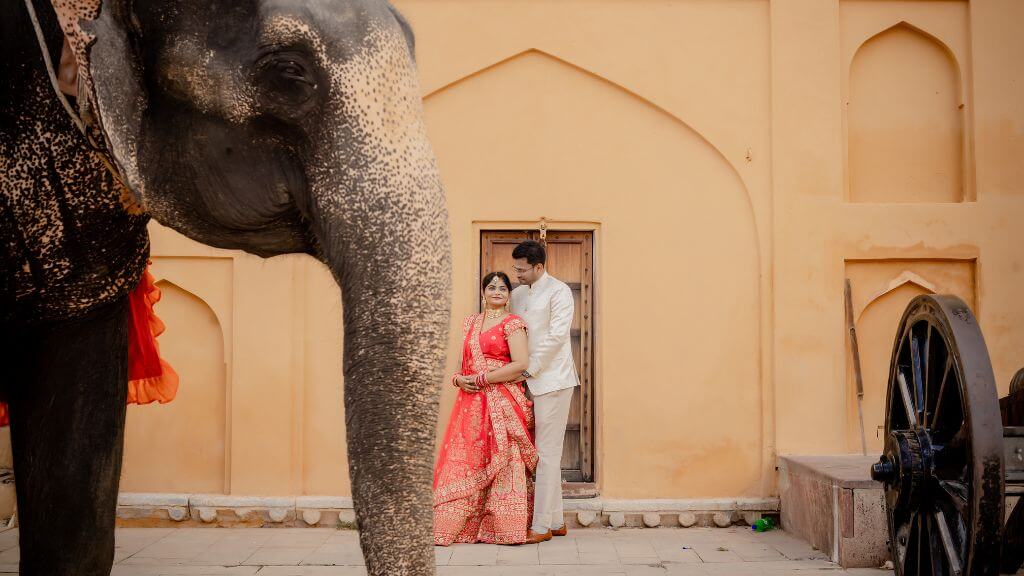 Couple posing during a pre-wedding shoot near Jaipur with an elephant in the foreground and royal palace architecture in the background